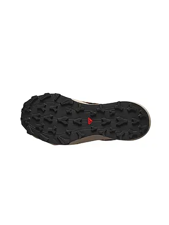 SALOMON | Chaussures de trail running Thundercross GTX pour femmes | grau